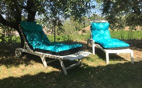 GuestHouse Du Moulin (logement neuf)